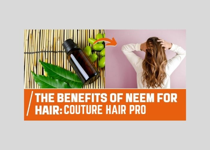 Benefits of Neem For Hair in 2023: That you didn't know - Couture Hair Pro